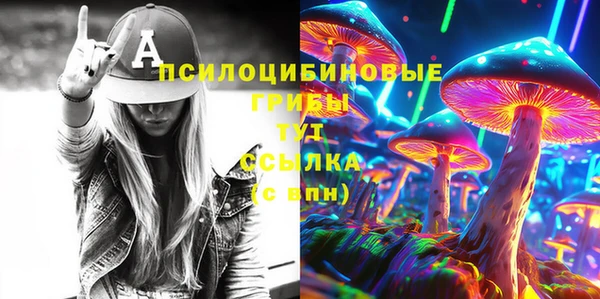 прущий лед Липки