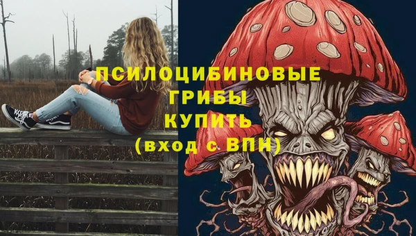 метадон Лиски
