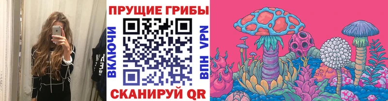 Псилоцибиновые грибы GOLDEN TEACHER  Дно 