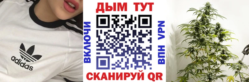 Шишки марихуана марихуана  где купить наркотик  Дно 